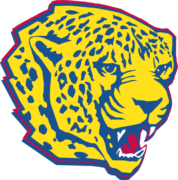 South Alabama Jaguars 1997-2007 Partial Logo diy fabric transfers